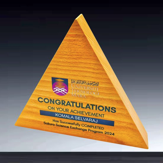 IWT 070 - Exclusive Wooden Award