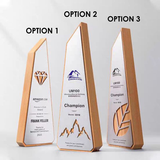 IWT 097 - Exclusive Wooden Metal Award